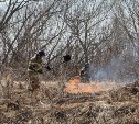 В Углегорске выгорело 50 квадратов сухой травы