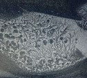 Апрельский мороз в Южно-Сахалинске оставил на стекле автомобилиста сказочный рисунок
