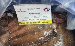 Общество
