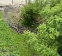 Жители Новоалександровска обеспокоены судьбой рощи при строительстве ЖК "Верба"