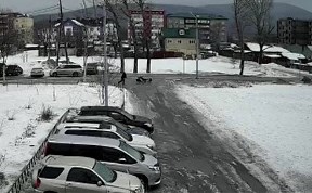 Происшествия