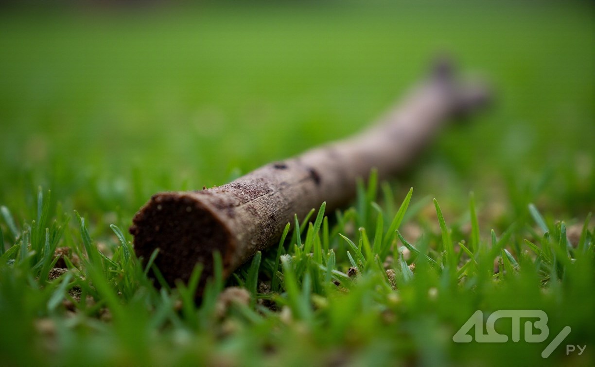 На Сахалине молодой браконьер ударил правоохранителя палкой и получил условный срок