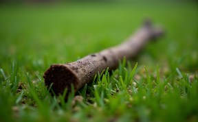 Происшествия