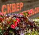В Южно-Сахалинске участились случаи повреждения газонов и цветов