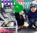 Жители двора в Южно-Сахалинске объединились, чтобы спасти мартовского кота