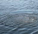 Тело 48-летнего мужчины обнаружили в озере Питьевом в Корсаковском районе
