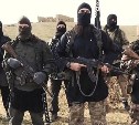 Группу нелегалов, пытавшихся присоединиться к ИГИЛ, задержали на Сахалине