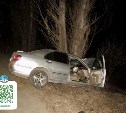 Автомобиль Toyota Brevis улетел с трассы на Сахалине и врезался в дерево - пострадали два человека
