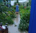 "Дождь смыл наши деньги": мощный поток затопил огороды и дома в Томари
