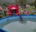 Бассейн у дома помог пожарным потушить дачу в сахалинском селе
