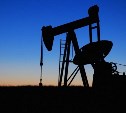 Курс доллара загнал единственное нефтеперерабатывающее предприятие Сахалина в убытки
