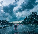 На семь районов Сахалина 13 сентября обрушится ливень 