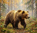 На Сахалине дожди и до +16 °C, а на Курилах облачно и тепло: прогноз погоды для региона на 14 октября