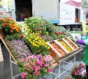 Весенняя тематическая ярмарка пройдёт в Южно-Сахалинске 30 мая