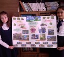 В Сахалинской области завершилась акция «Международный день лесов»
