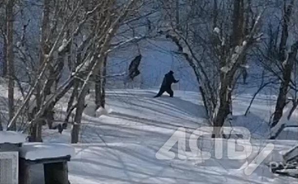 Сахалинцы жалуются на закладчиков, которые орудуют в районе кладбища на "Ласточке"