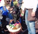 В Аниве дрессированные собаки устроили шоу для особенных детей