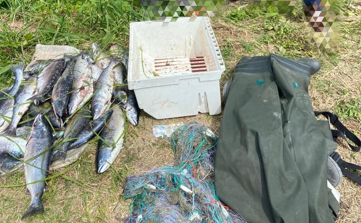 Двое сахалинцев на берегу Урюма объясняли инспекторам, где взяли 34 хвоста симы