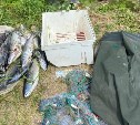 Двое сахалинцев на берегу Урюма объясняли инспекторам, где взяли 34 хвоста симы