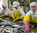 Владелец «Гидростроя» совершил крупнейшую на рыбном рынке сделку