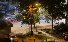 Общество