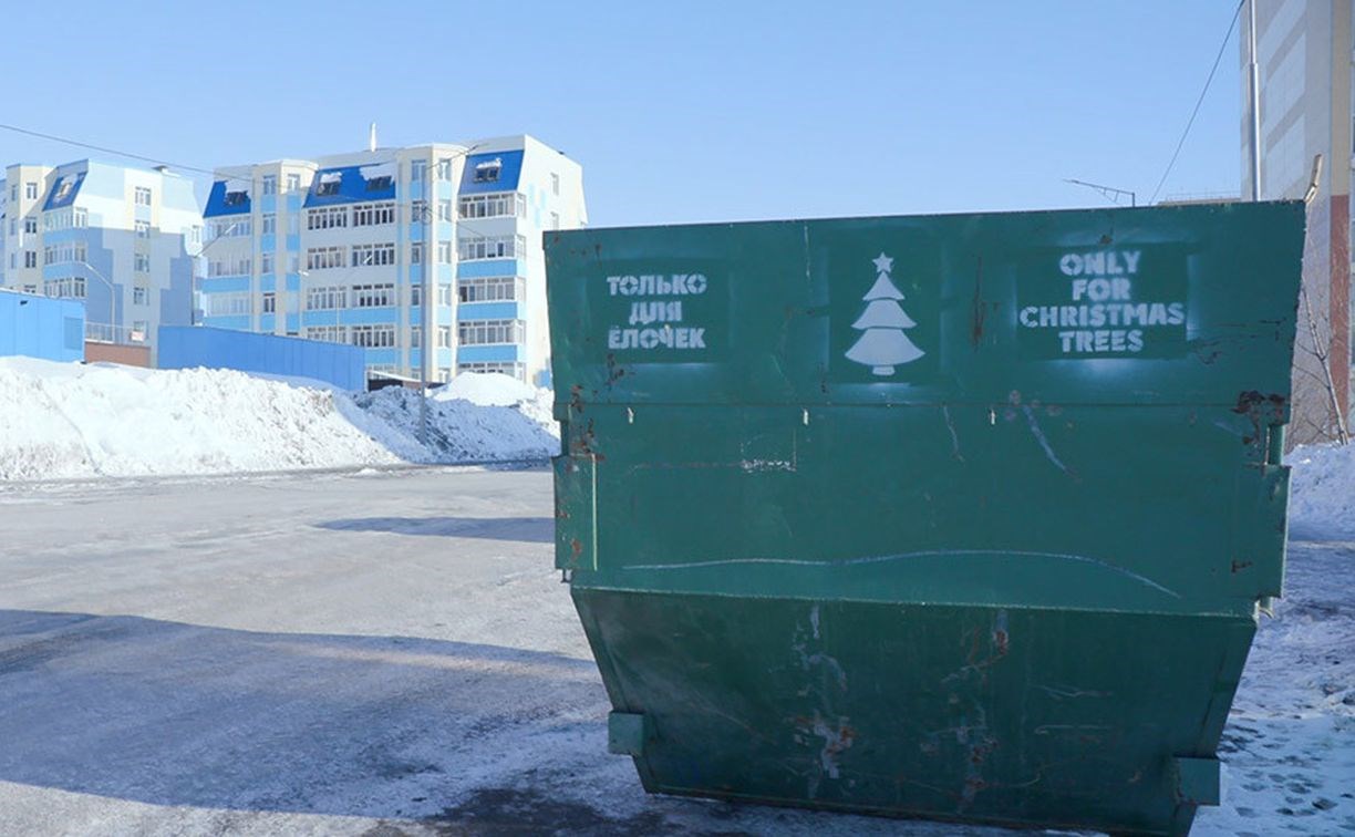 На улицах Петропавловска поставили контейнеры для сбора новогодних ёлок