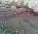 Кровавое море раскинулось на юге Сахалина (ФОТО)