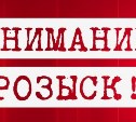 Супружескую пару, подвозившую в Южно-Сахалинск Лиду Зеленюк, просят откликнуться волонтеры