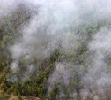 В Охинском районе четвертый день горят леса