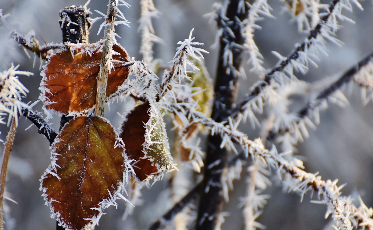 Немного снежно и до +8° будет на Сахалине 5 ноября
