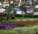 Южносахалинец собрал букет из цветов, растущих на городской клумбе