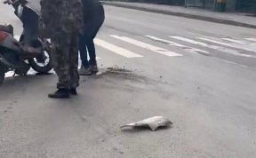 Общество
