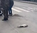 Очевидцы: пьяный водитель сбил подростка на мопеде в Южно-Сахалинске
