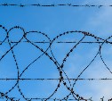 Жителя Охи отправили в колонию за нарушение надзора после освобождения из тюрьмы