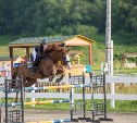 Соревнования по конкуру пройдут в Огоньках