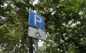 Общество