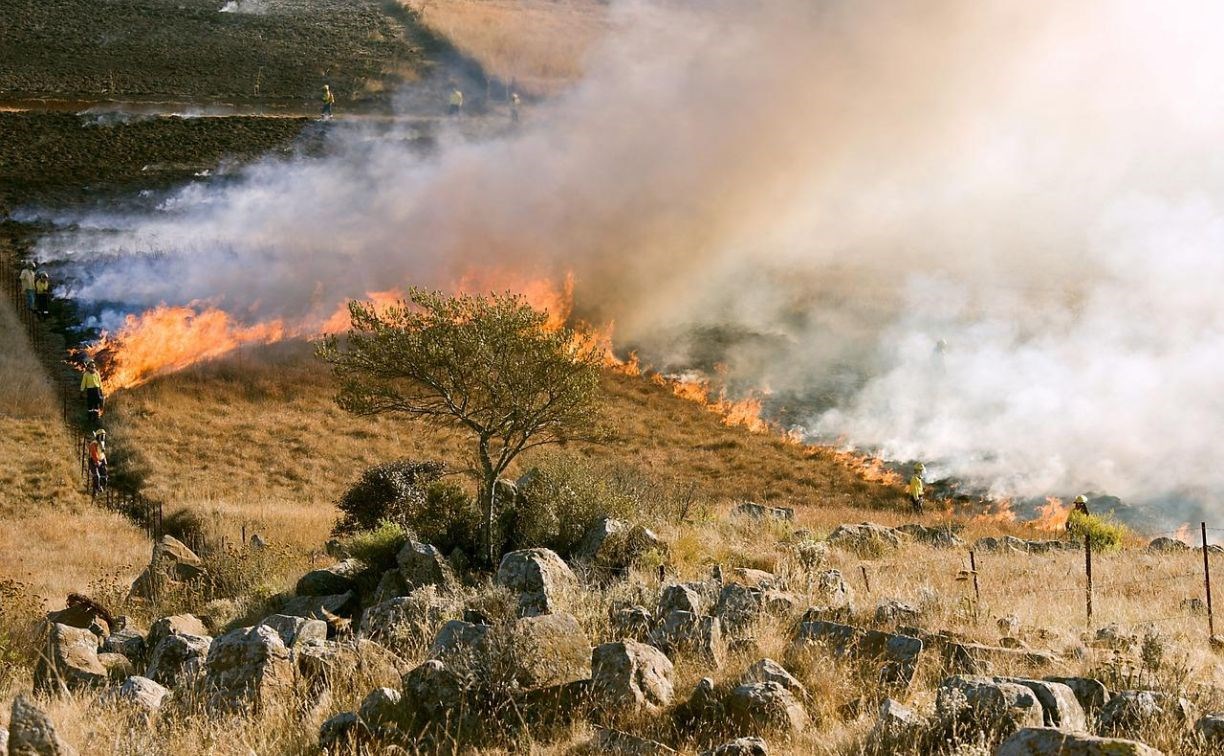 Участок травы вдоль трассы выгорел на юге Сахалина