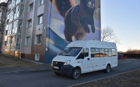 Общество