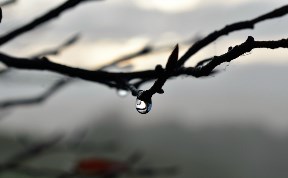 Общество