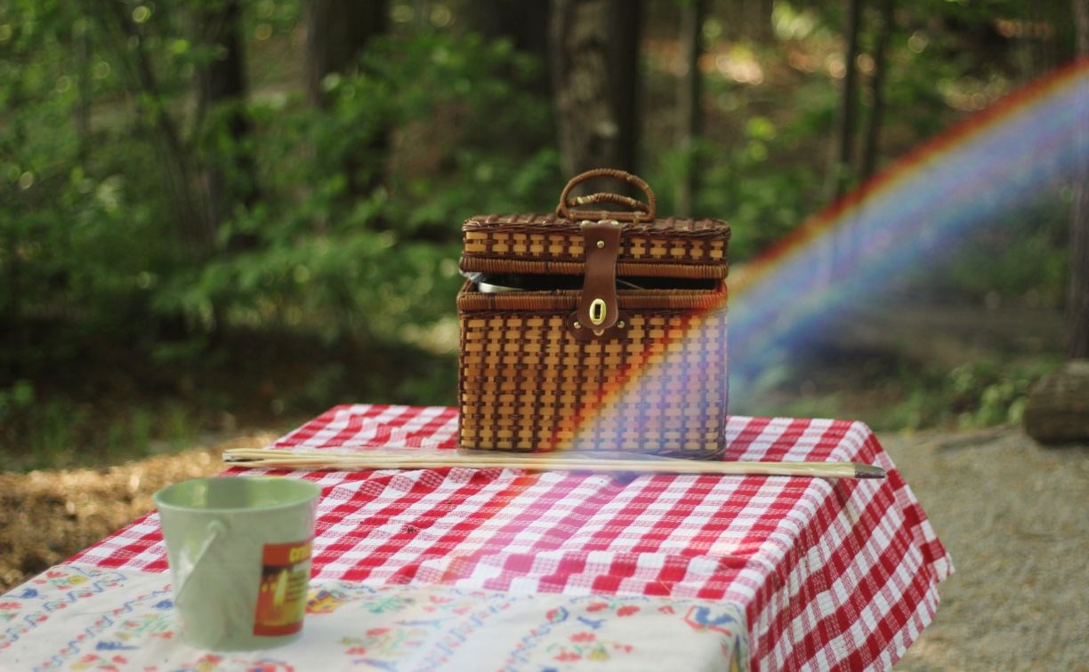 Диетолог назвала самые неудачные продукты для летнего пикника