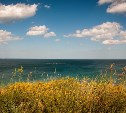 И дождь, и солнце: погода на Сахалине и Курилах в ближайшую неделю будет переменчивой 
