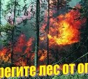Высокая пожарная опасность сохраняется в лесах двух районов Сахалинской области
