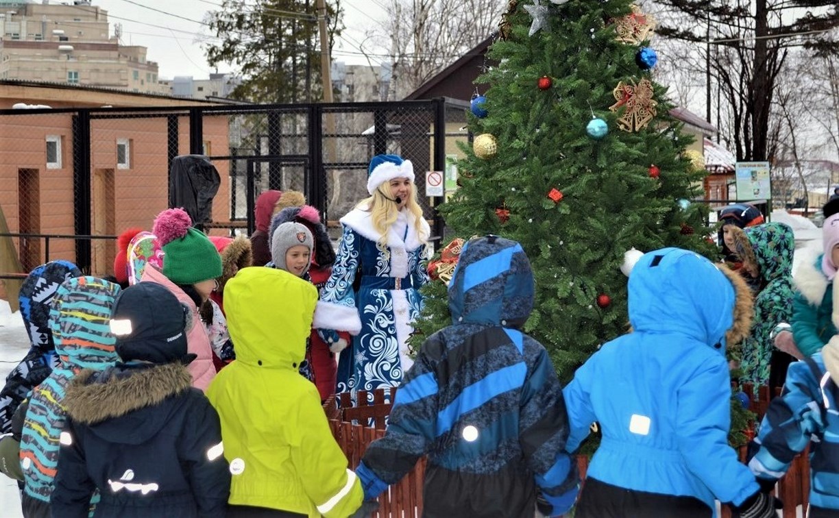 Сахалинский зоопарк в новогодние каникулы приготовил для гостей много интересного