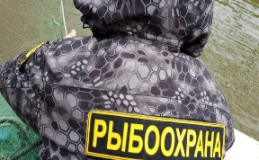 Происшествия