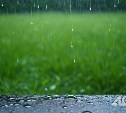 Местами дожди и до +11°: что ждать от погоды на Сахалине 17 октября