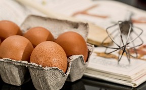 Общество