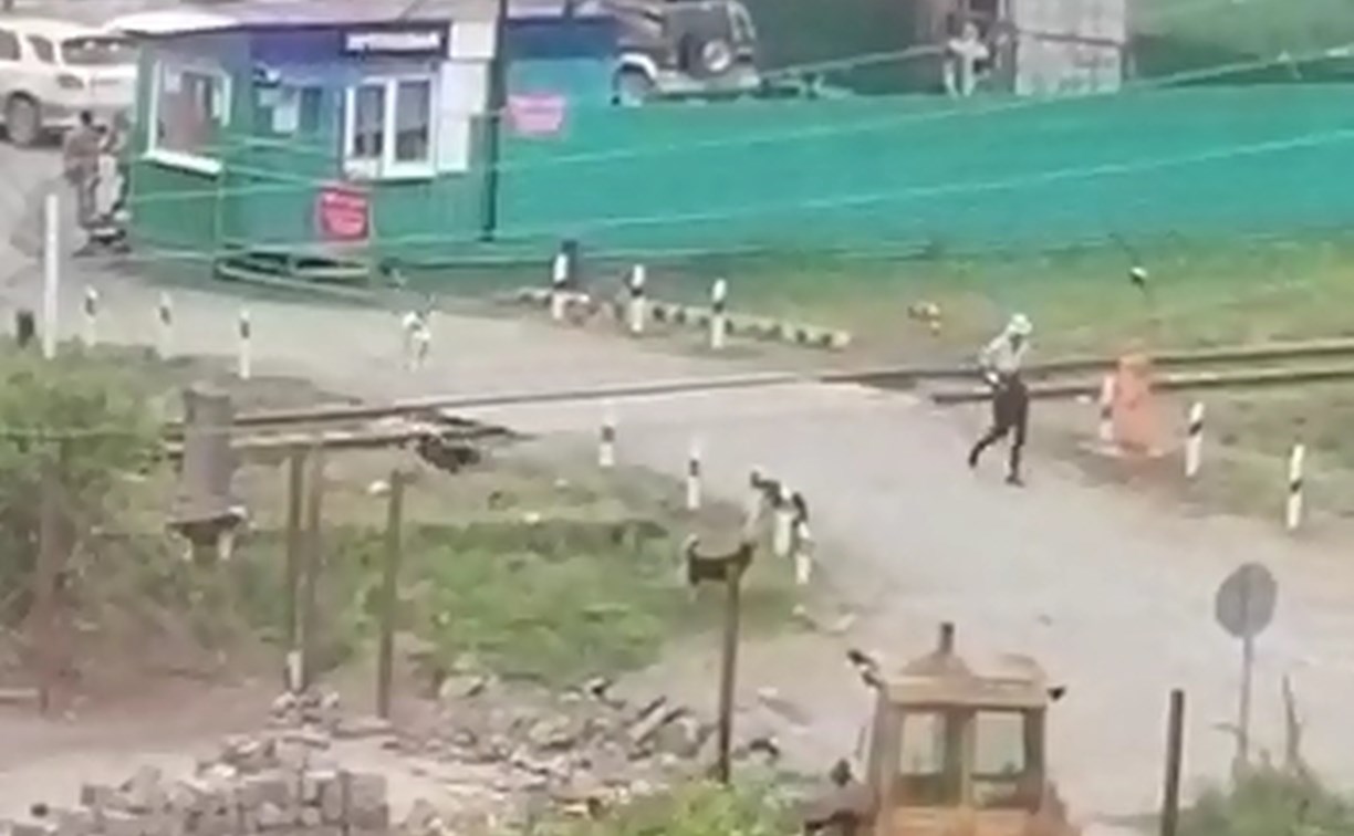 "И толку, что чипированые": стая собак терроризирует жителей Корсакова