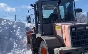 Общество