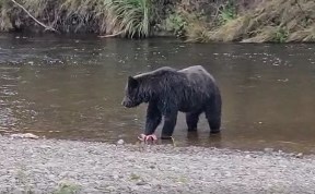Общество