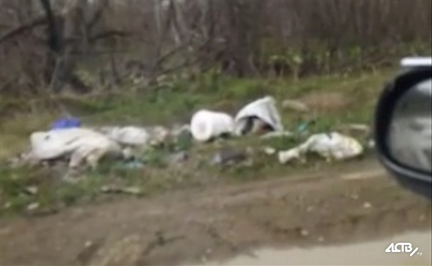 Анивчане жалуются на мусор и запах навоза